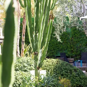 **** Hotell Mercure Centre Notre Dame Frankrike
